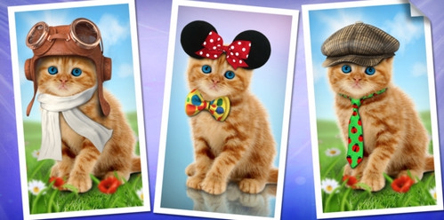 App วอลล์เปเปอร์แมวเหมียว Purring cats